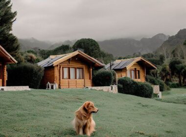 Bungalows en Asturias que admiten perros