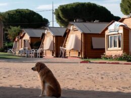 Camping que admiten perros en bungalows Tarragona