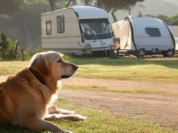 Campings que admiten perros en Cataluña