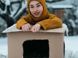 Comment Faire une Cabane pour Chat l'Hiver : Un Refuge Chaleureux pour votre Compagnon Félin
