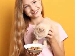 Comment Nourrir un Chat : Les Meilleures Pratiques pour une Alimentation Saine