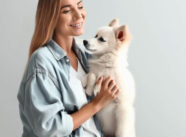 Comment devenir éleveur de chien - Le guide complet pour les passionnés canins