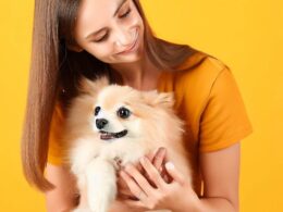 Cómo Cuidar un Perro: La Guía Completa para el Cuidado de tu Mascota