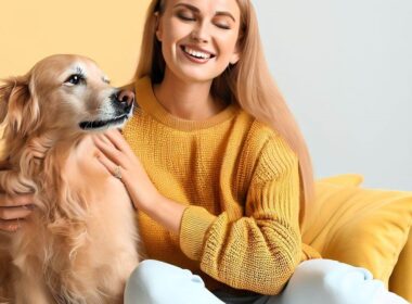 Cómo cuidar a un perro: La guía completa para su bienestar