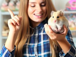 Où acheter un hamster : Les meilleures options pour adopter ce petit compagnon
