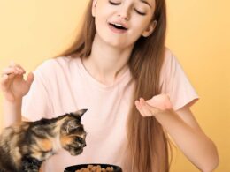 Pourquoi mon chat ne mange plus : Comprendre les raisons possibles