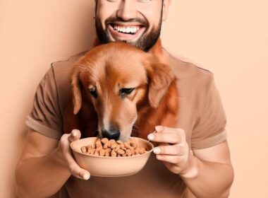 Wie füttere ich meinen Hund richtig?