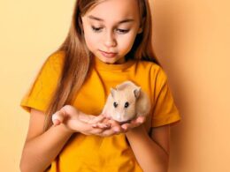 Wie viel kostet ein Hamster?