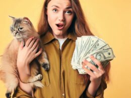 Wie viel kostet eine Katze?